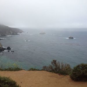 Meet your Posher, Sandy